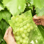 Rekx Fruithoes met trekkoord 20 x 30 cm
