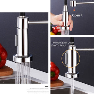 Torneira Pull-Out keukenkraan